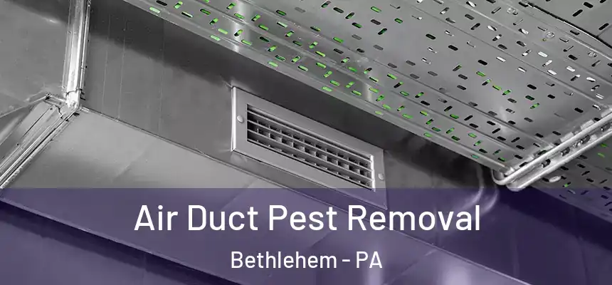 Air Duct Pest Removal Bethlehem - PA