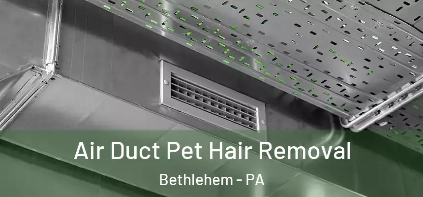 Air Duct Pet Hair Removal Bethlehem - PA