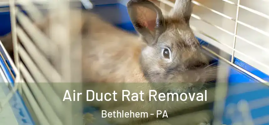 Air Duct Rat Removal Bethlehem - PA