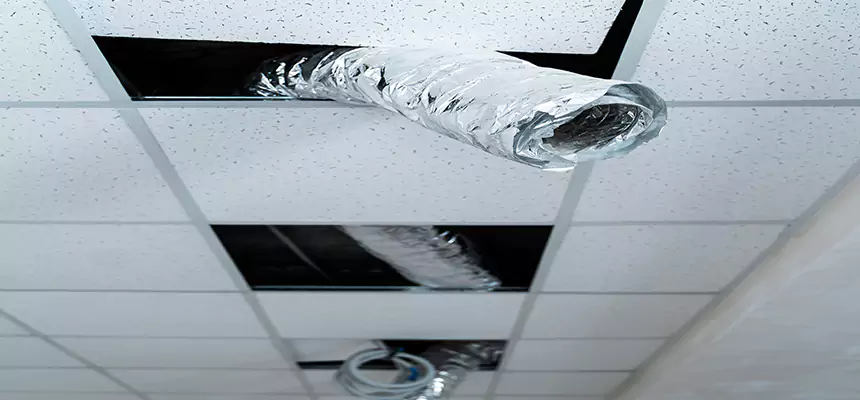 Our Air Duct Pet Hair Removal Services in Bethlehem, PA