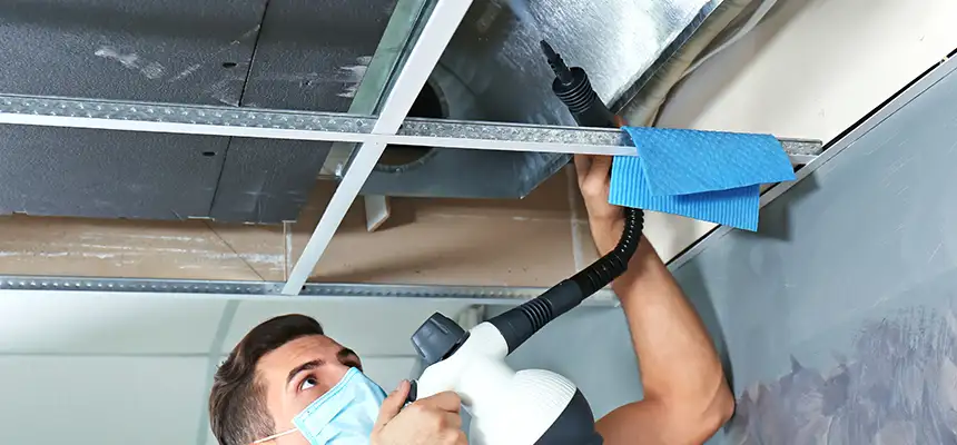 Our Air Duct Rodent Removal Services in Bethlehem, PA