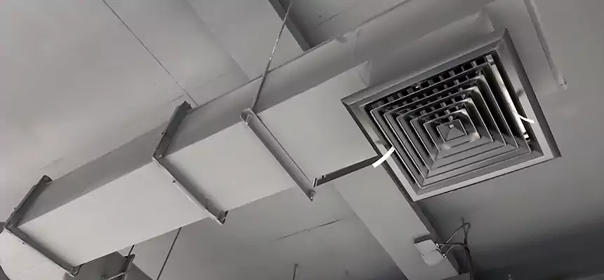 Our Pest Removal From Ducts Services in Bethlehem, PA