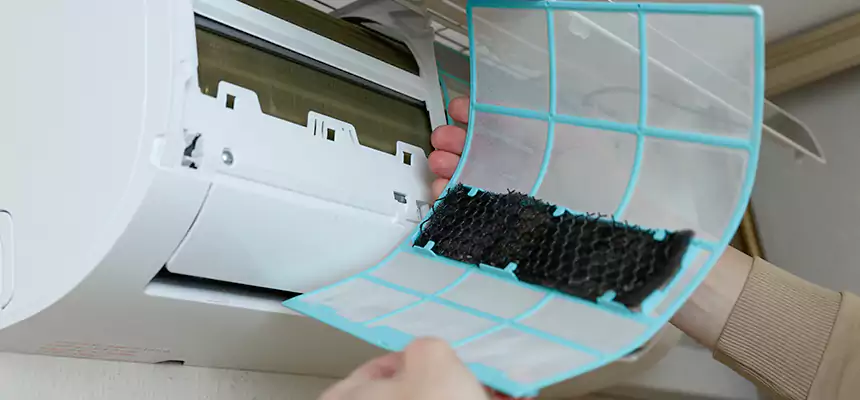 Gentle Ductwork Odor-Control Pet Dander Duct Cleaning in Bethlehem, PA