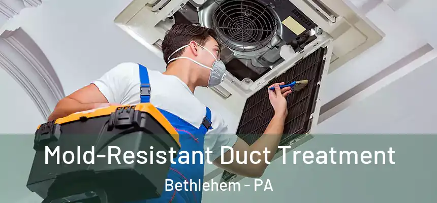 Mold-Resistant Duct Treatment Bethlehem - PA
