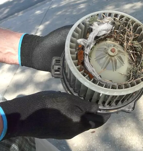 About Air Duct Mice Removal in Bethlehem, PA