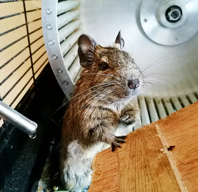 Why Homeowners & Businesses Trust Us Bethlehem, PA